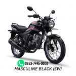 CB150 VERZA